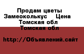 Продам цветы ”Замеоколькус” › Цена ­ 2 000 - Томская обл.  »    . Томская обл.